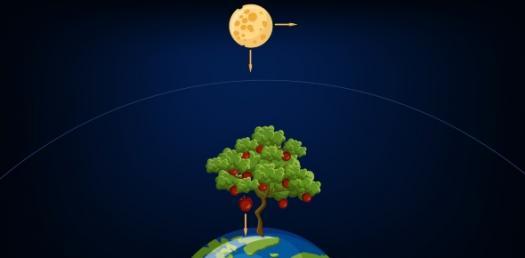 Gravity Quiz Activity